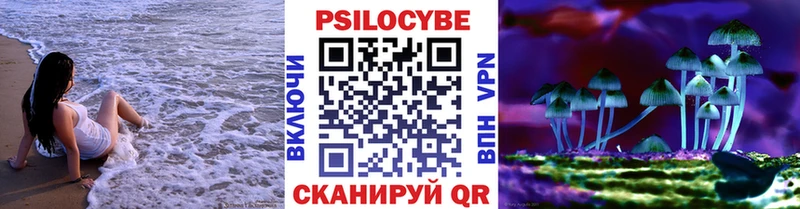 Галлюциногенные грибы Psilocybe  MEGA онион  Болотное 